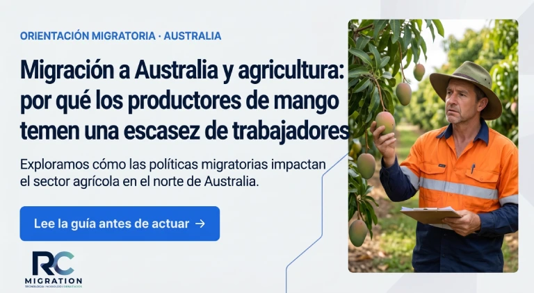 Productores de mango temen una escasez de trabajadores.